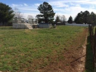 916 Rutledge Drive Rockvale, TN 37153 - Photo 2 of 5 Gallery Image 2