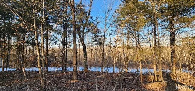 $65,000 | 5917 Twin Fawn Ridge, Hillsboro, MO 63050