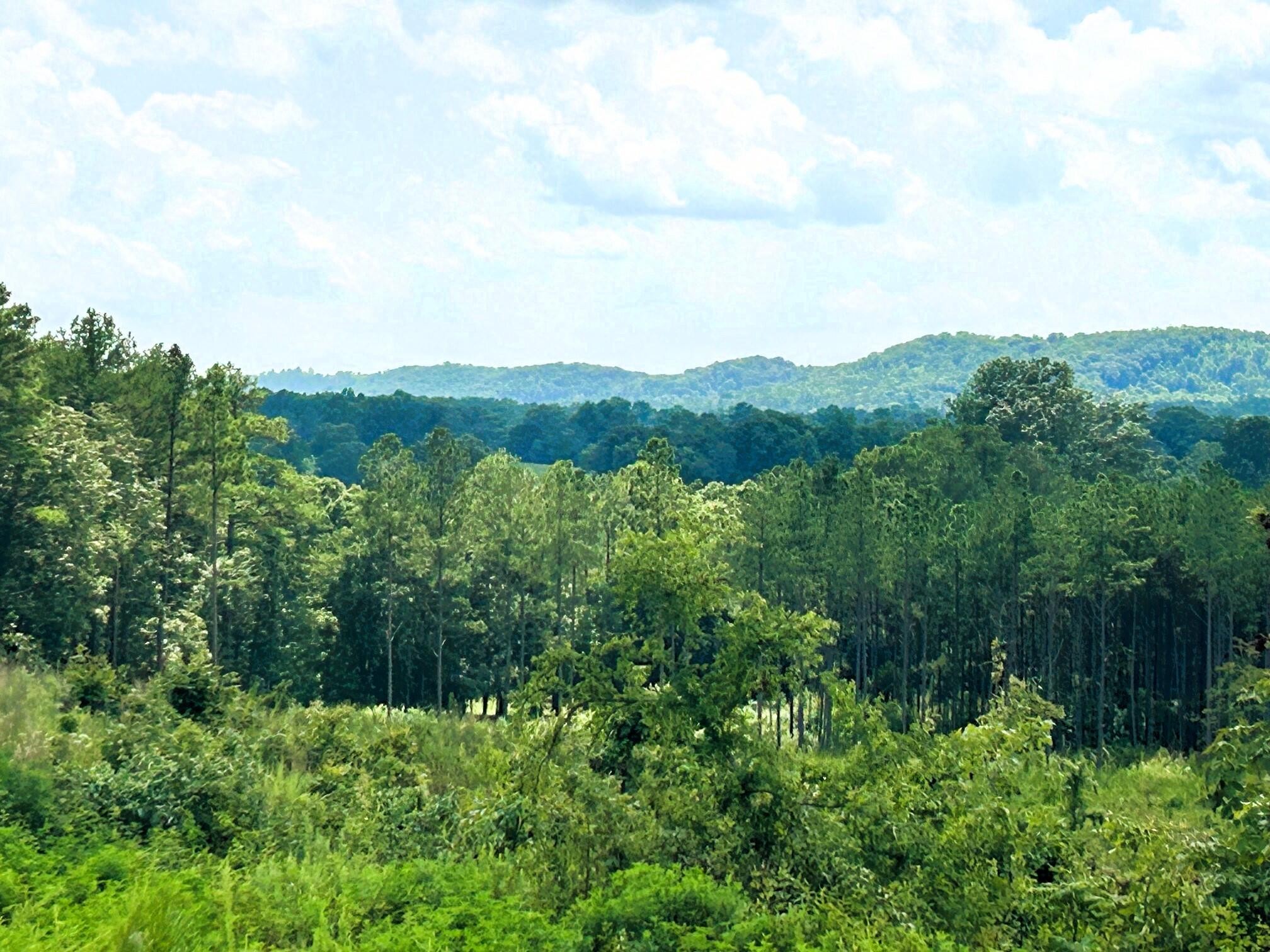 18 Hughes Lake Road Southeast Cleveland, TN 37323 - Photo 19 of 32