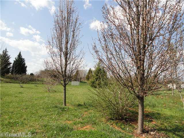 169 Greenfield Road Mocksville, NC 27028 - Photo 14 of 16 View. Located on almost an acre of land.