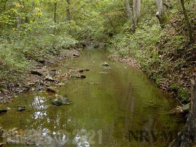 Tbd Runnett Bag Road Floyd, VA 24091 - Photo 12 of 15 Gallery Image 12