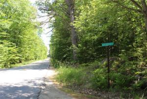 1 Bridgton Road Harrison, ME 04040 - Photo 1 of 2 Street View