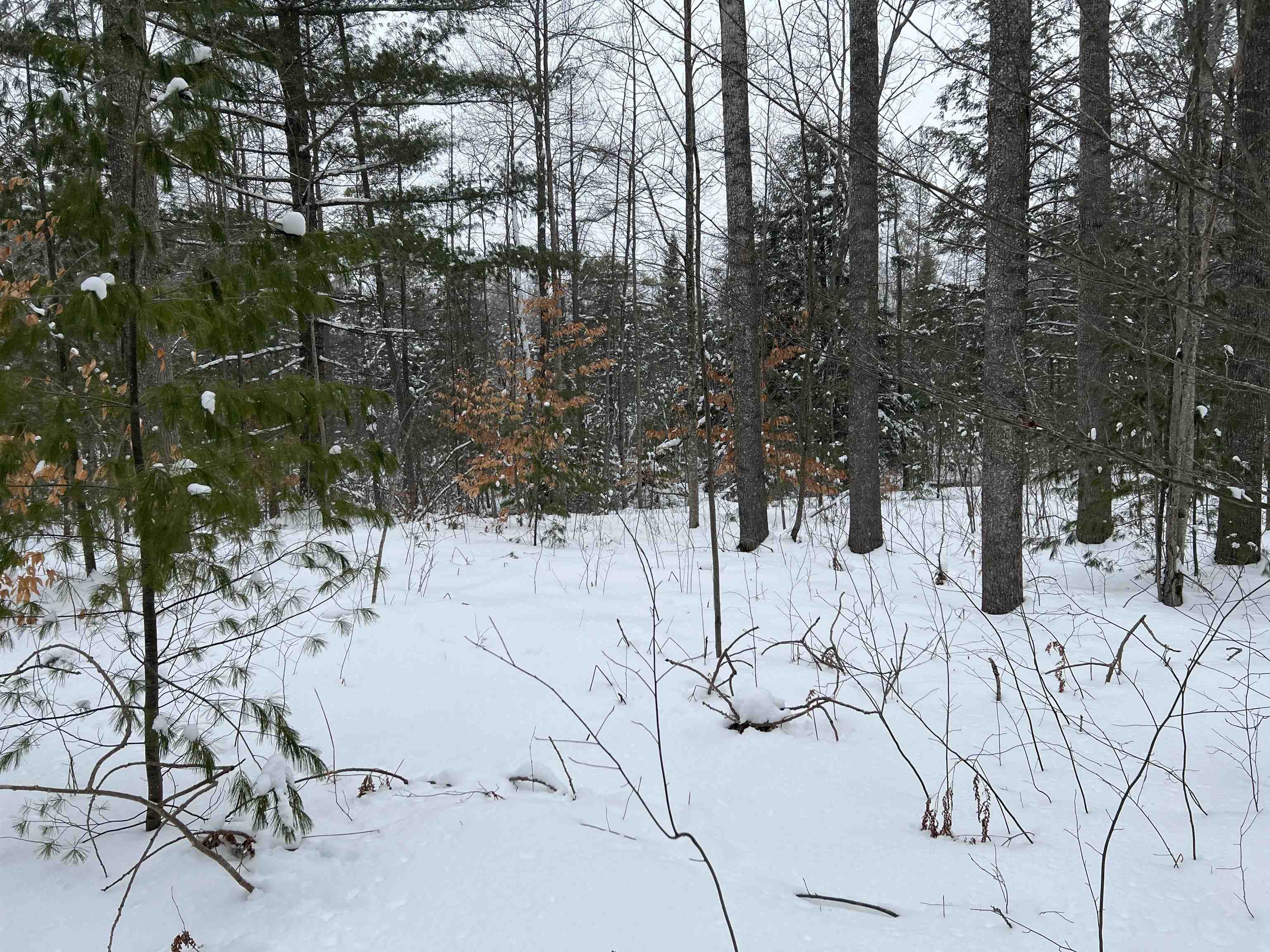 0 East 44 Road Cadillac, MI 49601 - Photo 3 of 6