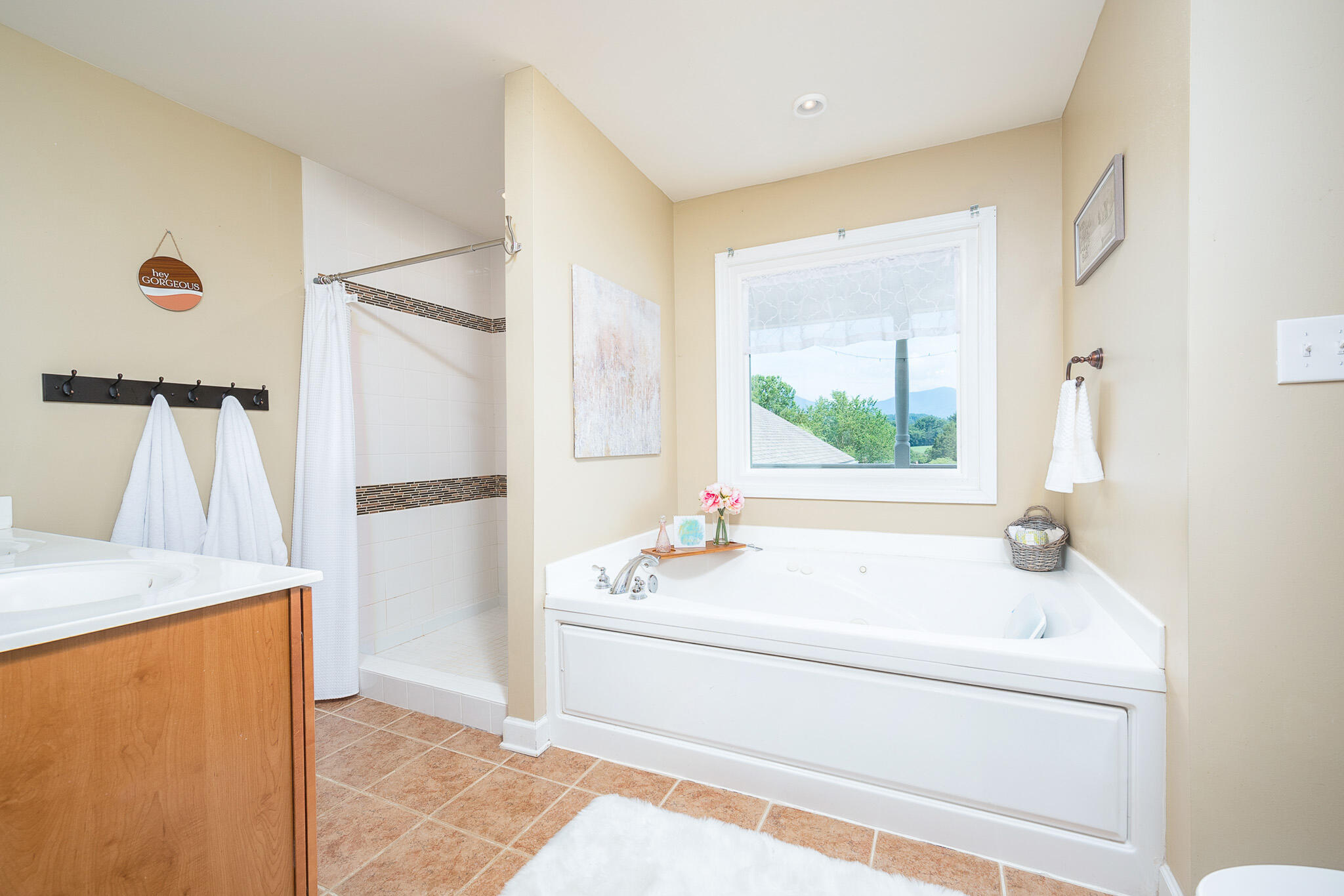 1747 Three Otters Road Bedford, VA 24523 - Photo 39 of 91 z13