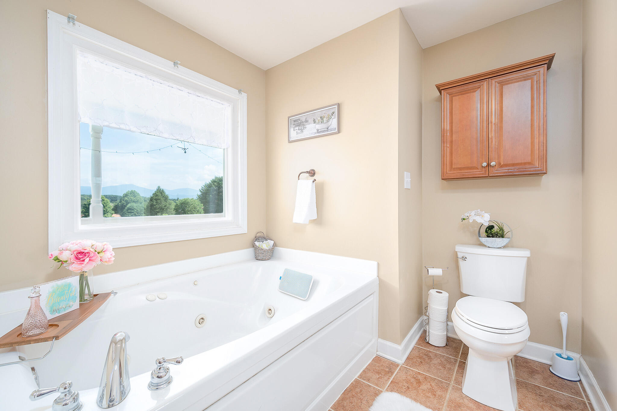 1747 Three Otters Road Bedford, VA 24523 - Photo 40 of 91 z14