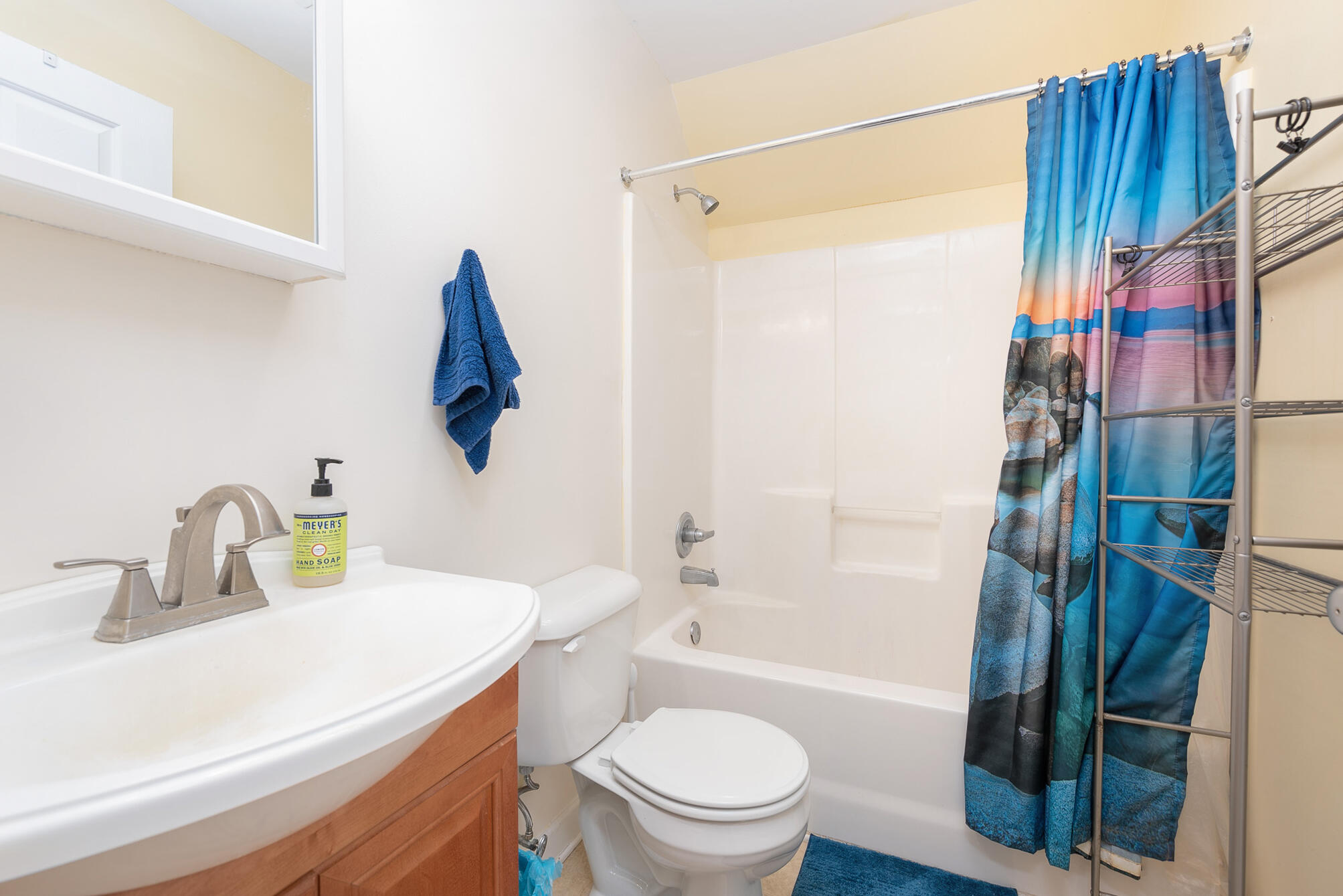 1747 Three Otters Road Bedford, VA 24523 - Photo 45 of 91 z20