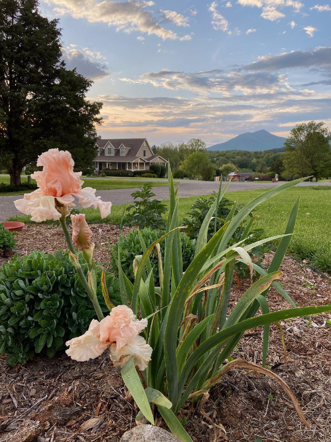 1747 Three Otters Road Bedford, VA 24523 - Photo 61 of 91 94c95052-4e0e-4219-8274-b65a6e30d64b