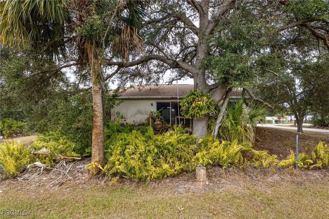 2406 East 23rd Street Alva, FL 33920 - Photo 26 of 33 a view of a garden with a tree