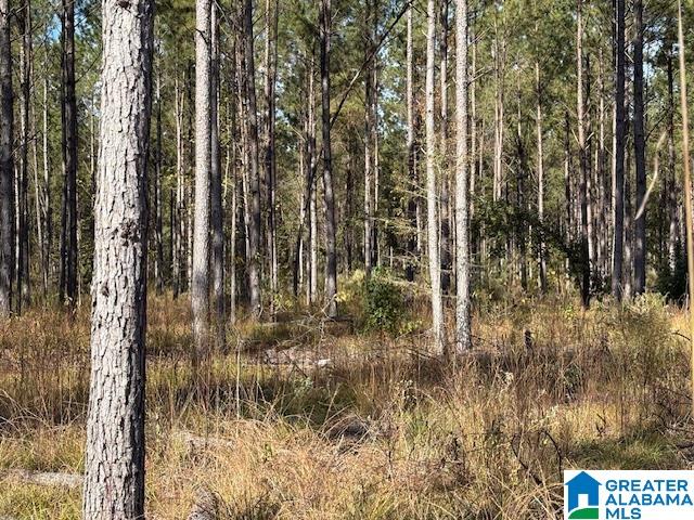 231 Us Highway Mathews, AL 36052 - Photo 5 of 22