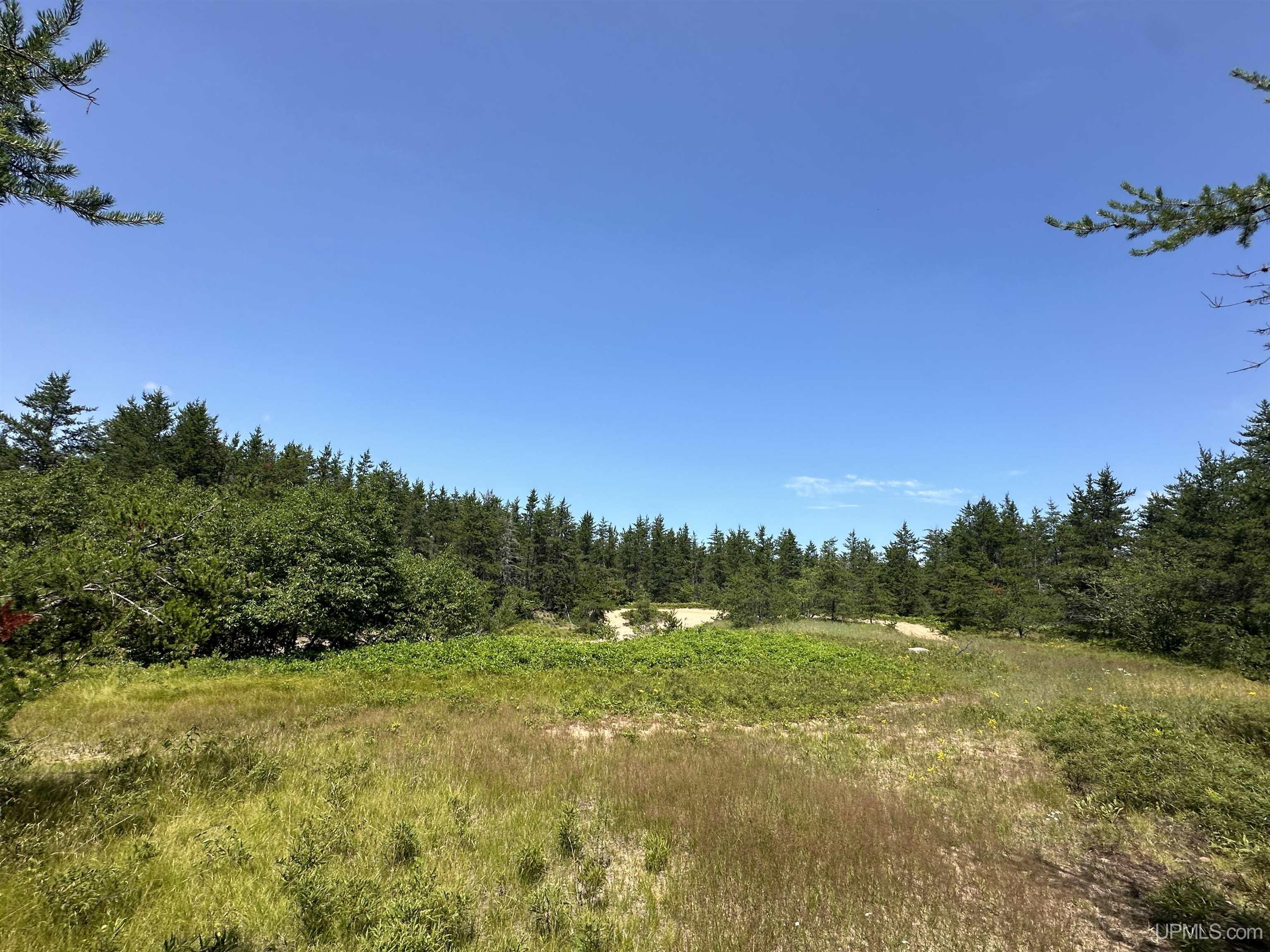 2020-2050 Co Road Little Lake, MI 49833 - Photo 16 of 39