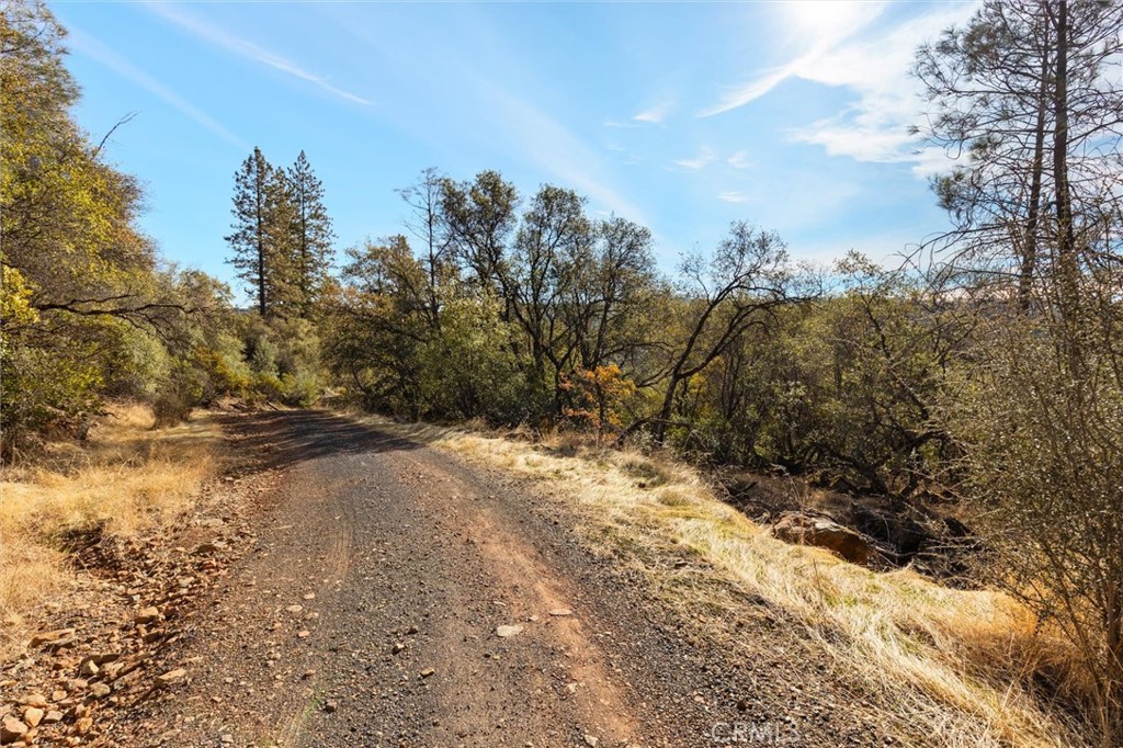 749 Hurleton Road Oroville, CA 95966 - Photo 29 of 58 Autumn