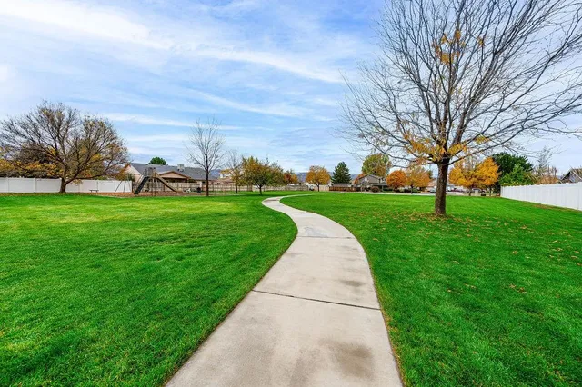a view of a park with large trees