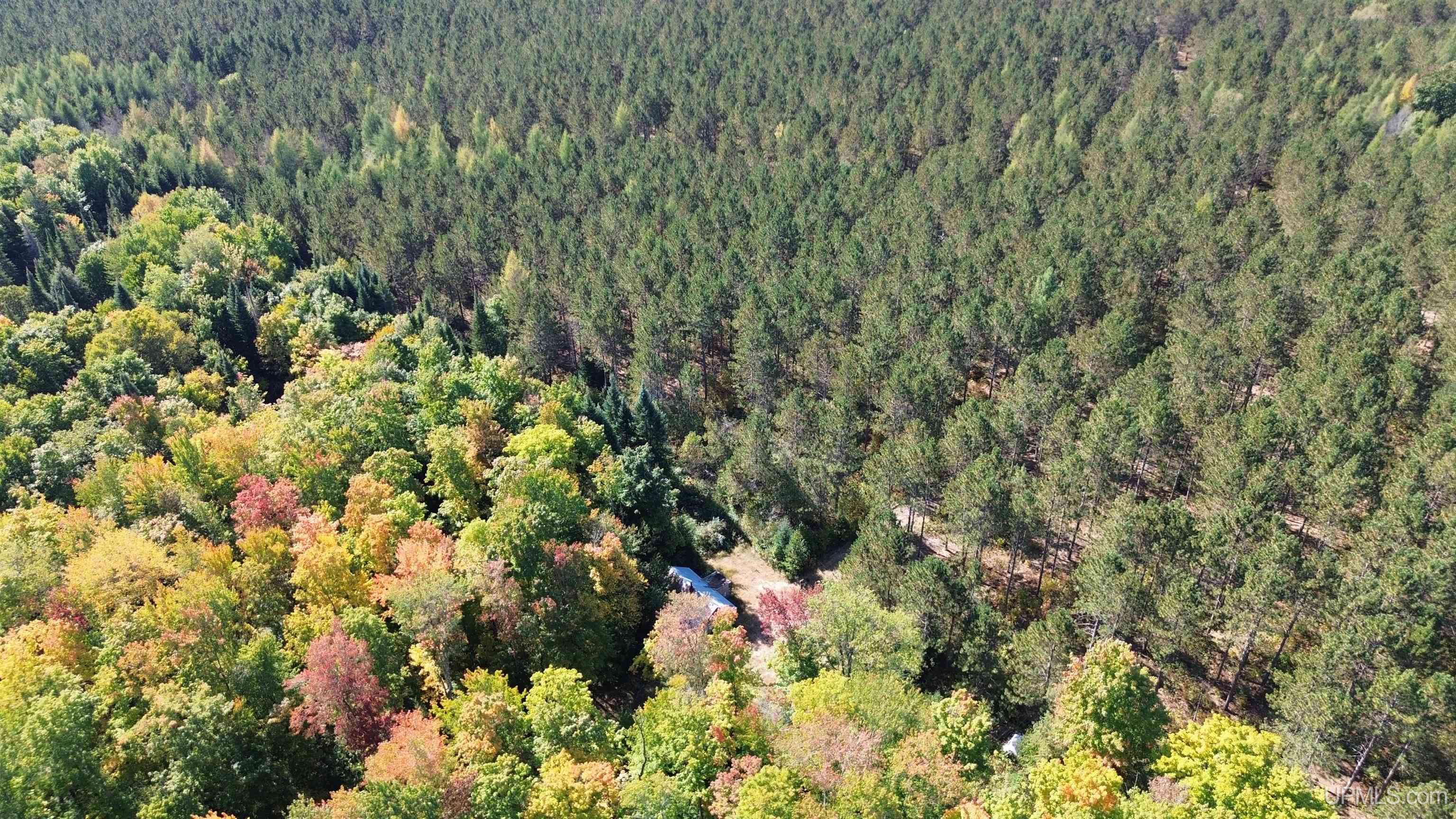 Off Usfs Trail, Unit 2440 Wetmore, MI 49895 - Photo 28 of 34