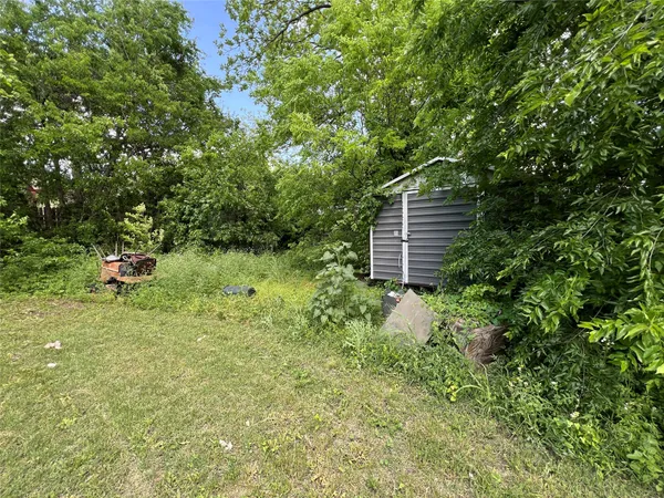 a backyard of a house with plants and tree