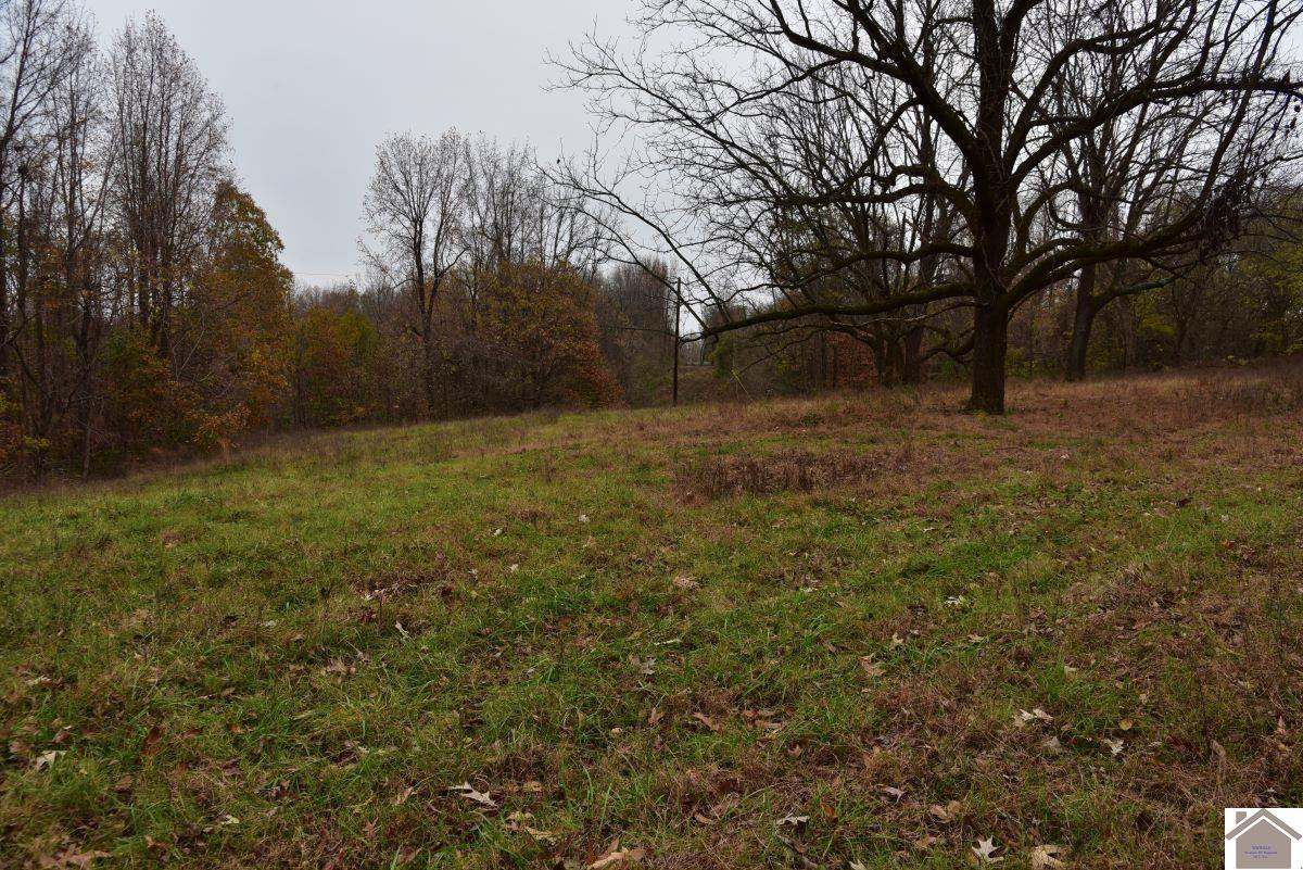 0 Beech Grove Road Hickman, KY 42050 - Photo 32 of 35 Photo 32