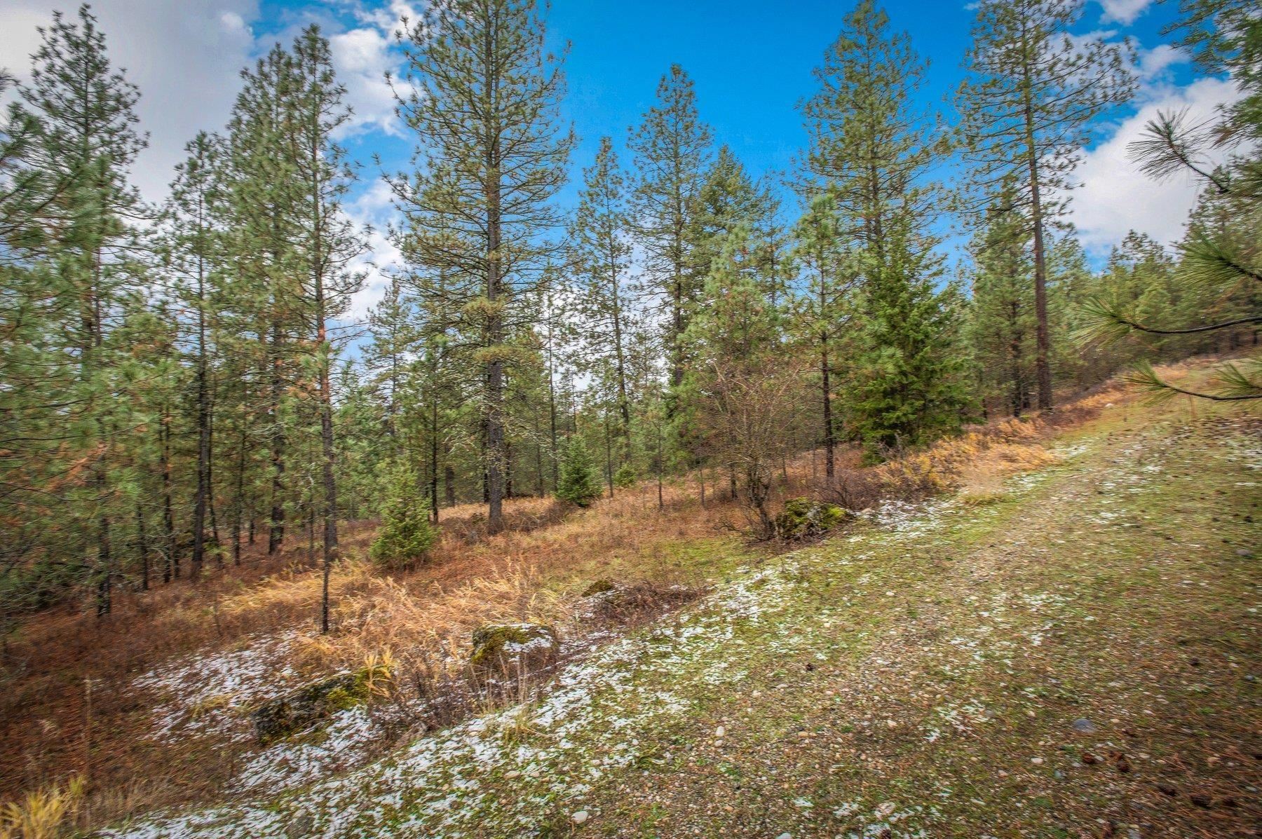 4425 Stonebrook Way Springdale, WA 99173 - Photo 5 of 18