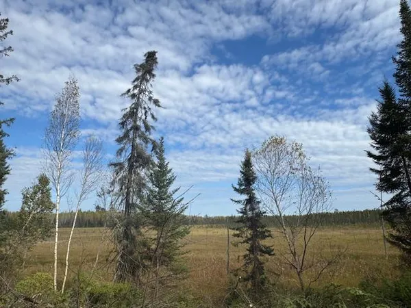 $46,900 | 115 Tower Mn 55790, Tower, MN 55790