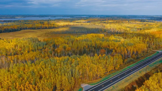 $46,900 | 115 Greenwood Twp Mn 55790, Tower, MN 55790