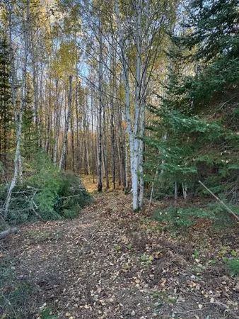 $46,900 | 115 Tower Mn 55790, Tower, MN 55790