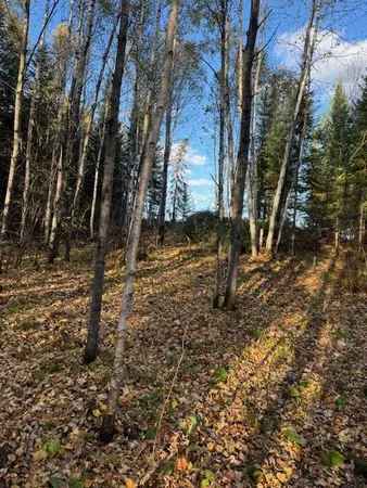 $46,900 | 115 Tower Mn 55790, Tower, MN 55790