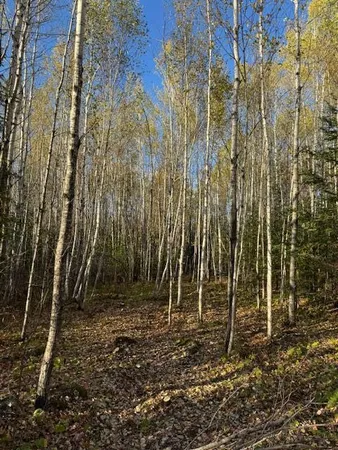 $46,900 | 115 Tower Mn 55790, Tower, MN 55790