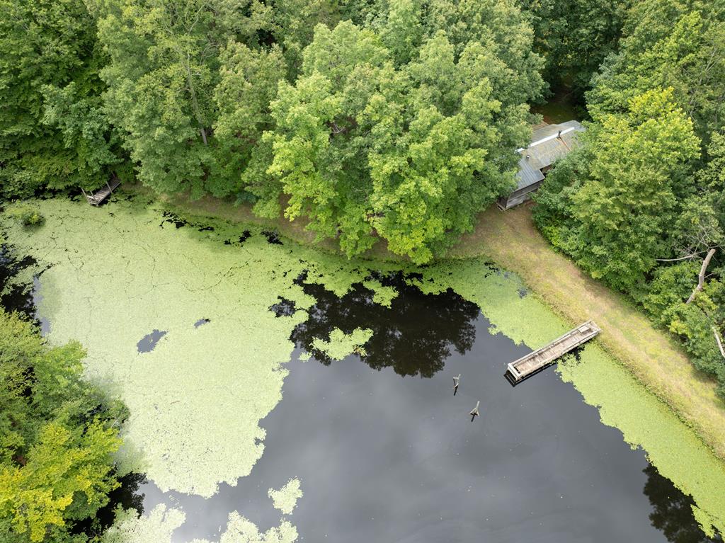 516-480 Perkins Mill Road Dillwyn, VA 23936 - Photo 11 of 15 Gallery Image 11