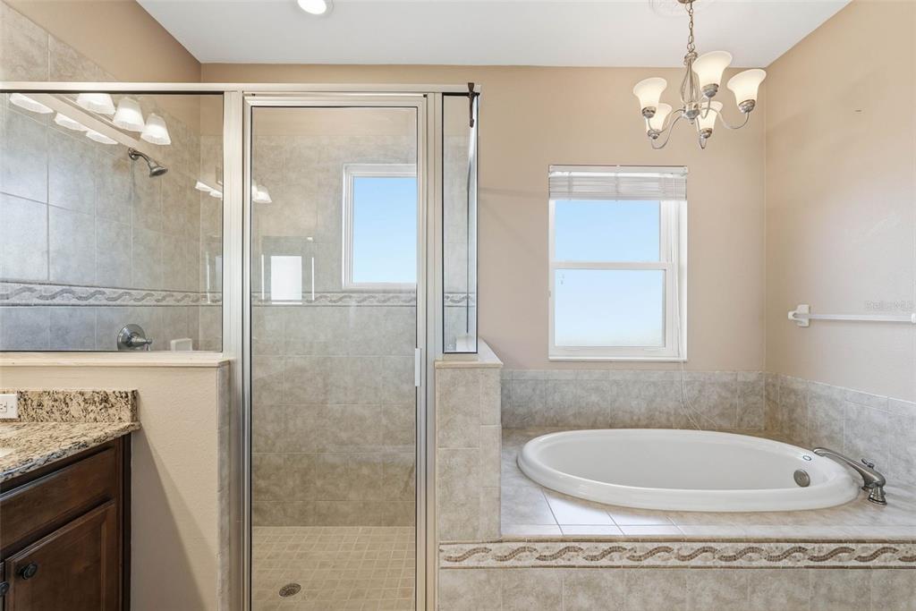 2506 West Ivy Street Tampa, FL 33607 - Photo 25 of 40 a bathroom with a tub a sink and mirror