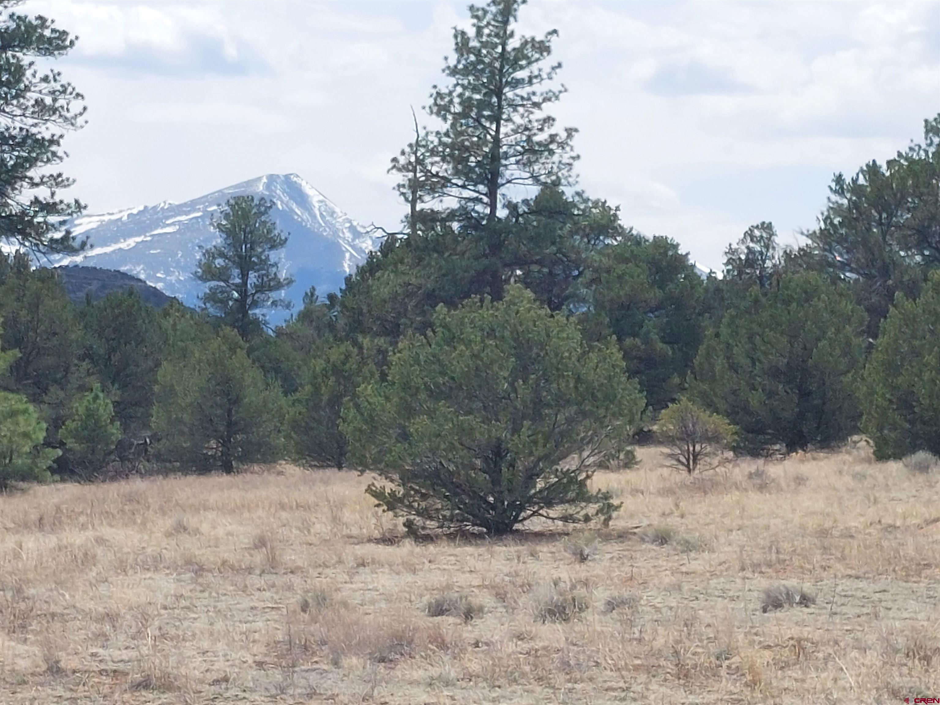 Tract-1 Tract-1 Q Path Cotopaxi, CO 81223 - Photo 1 of 22