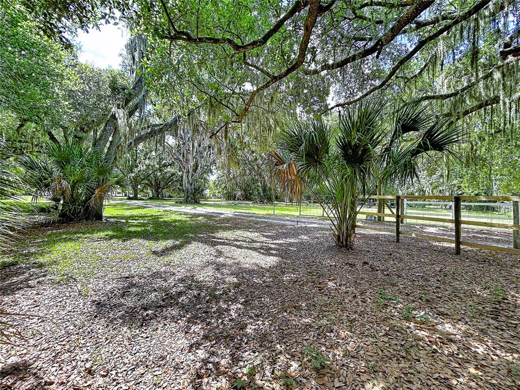 11008 Browning Road Lithia, FL 33547 - Photo 2 of 88
