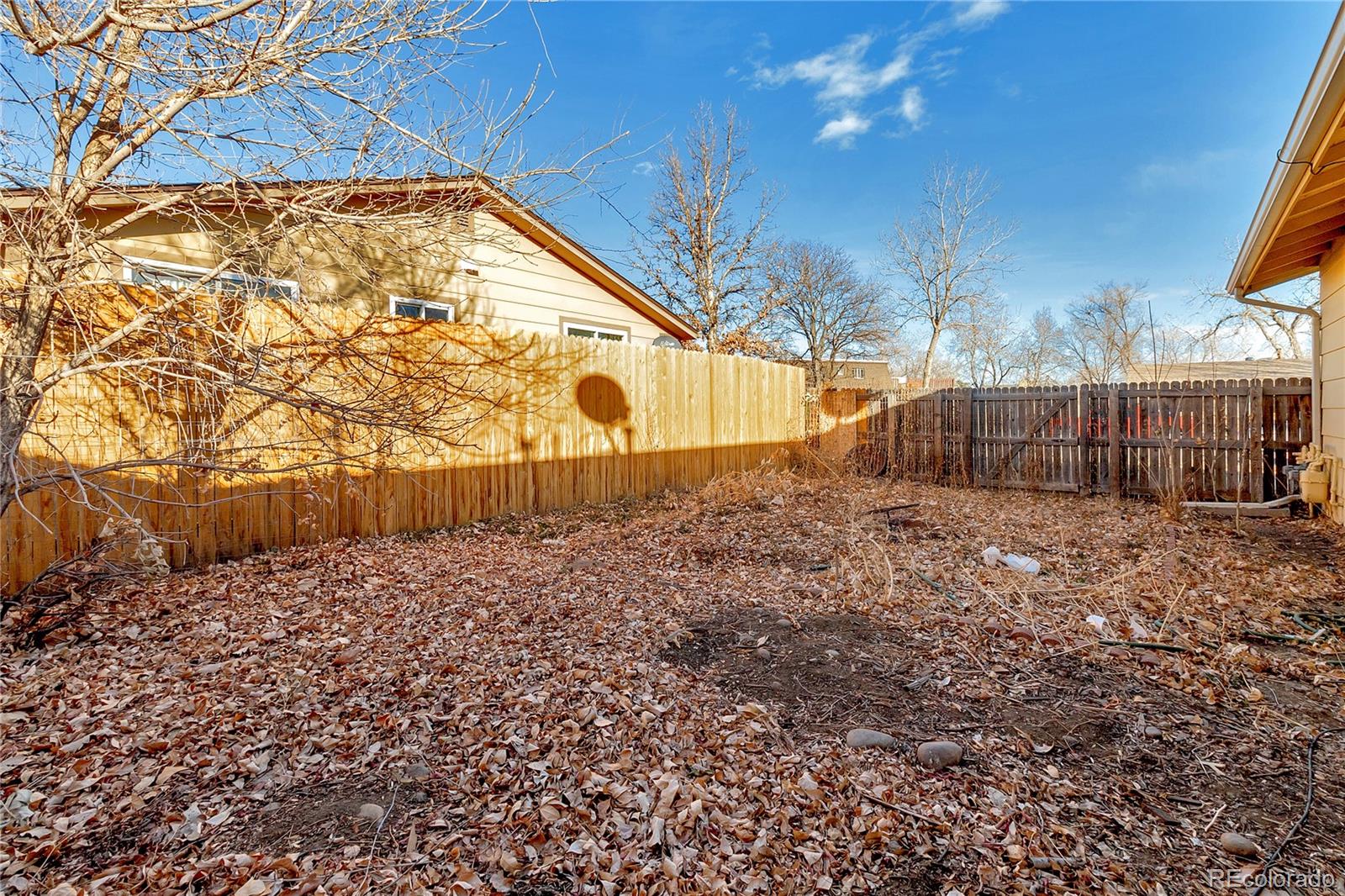 4775-4785 Simms Street Wheat Ridge, CO 80033 - Photo 23 of 24 Gallery Image 23