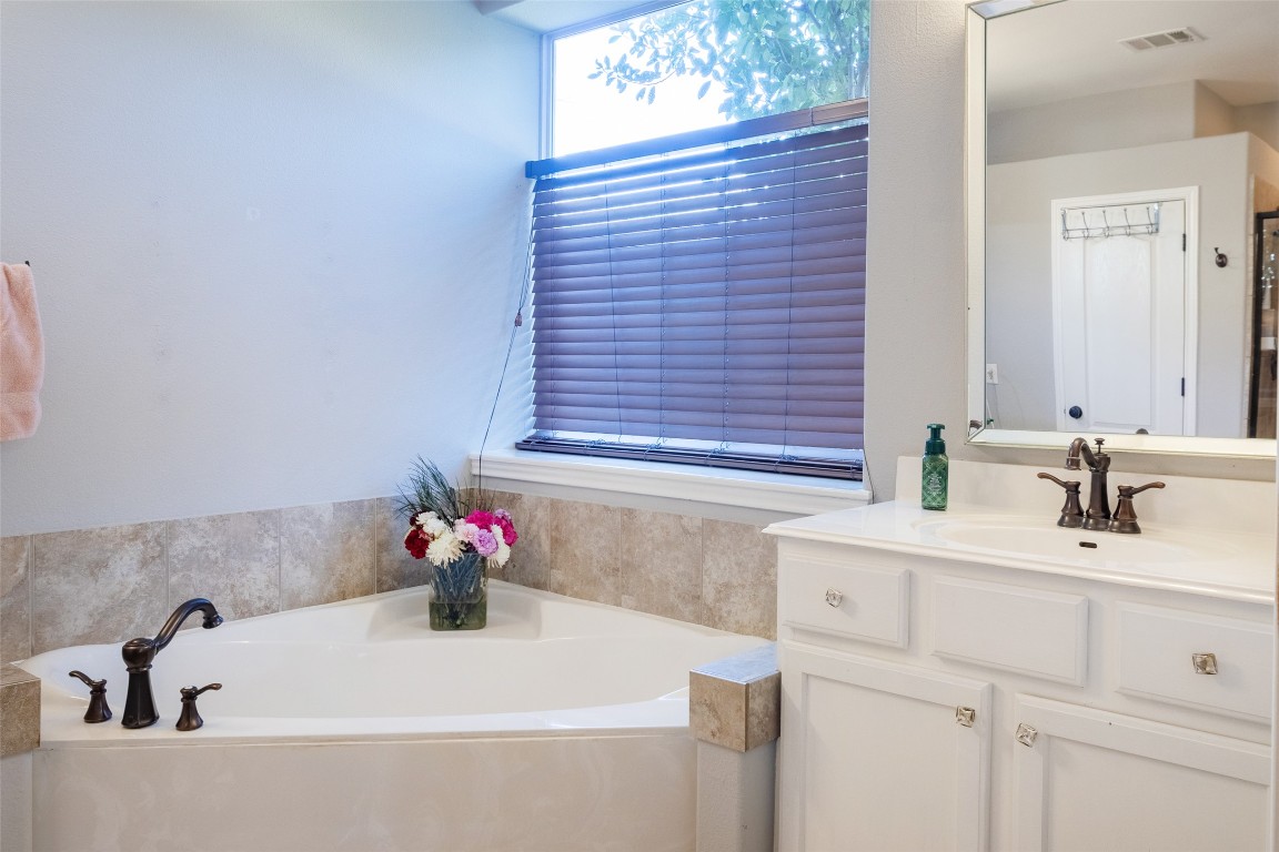 3113 Quail Run Round Rock, TX 78681 - Photo 20 of 29 Primary Bathroom with his and hers vanity and a bath