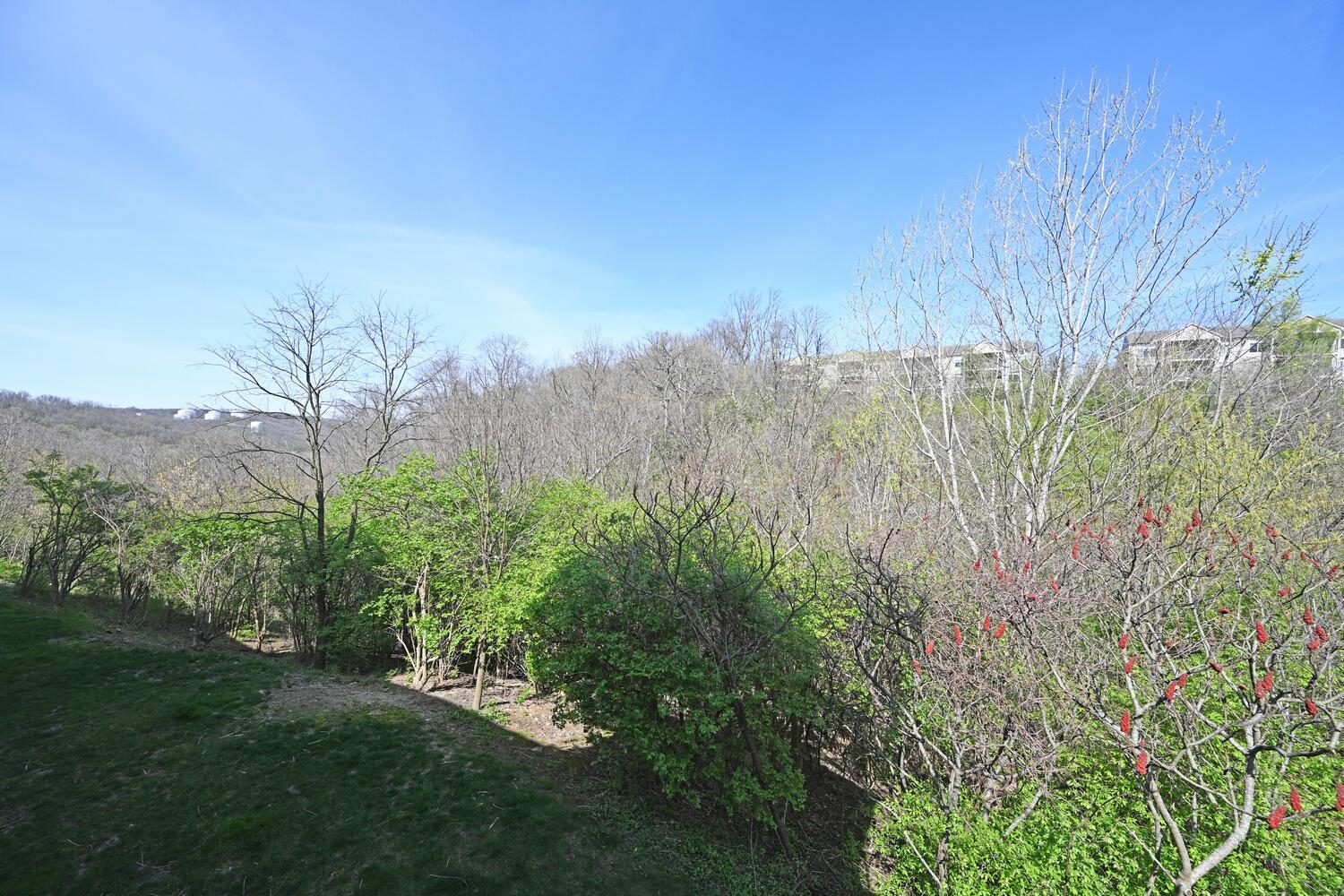 614 Rivers Breeze Drive Ludlow, KY 41016 - Photo 30 of 35