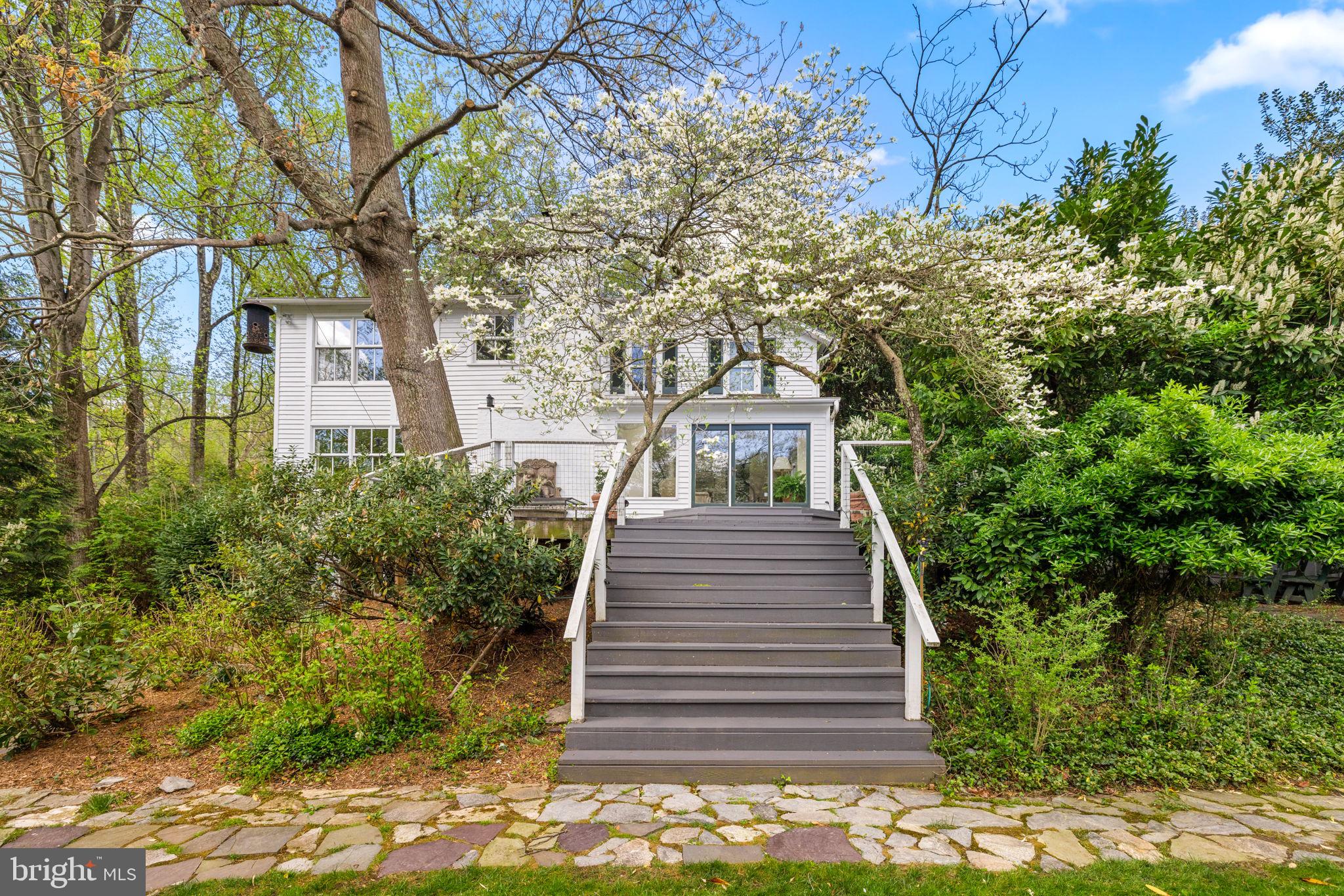6139 Franklin Park Road McLean, VA 22101 - Photo 23 of 49 a view of a yard with plants and a large tree