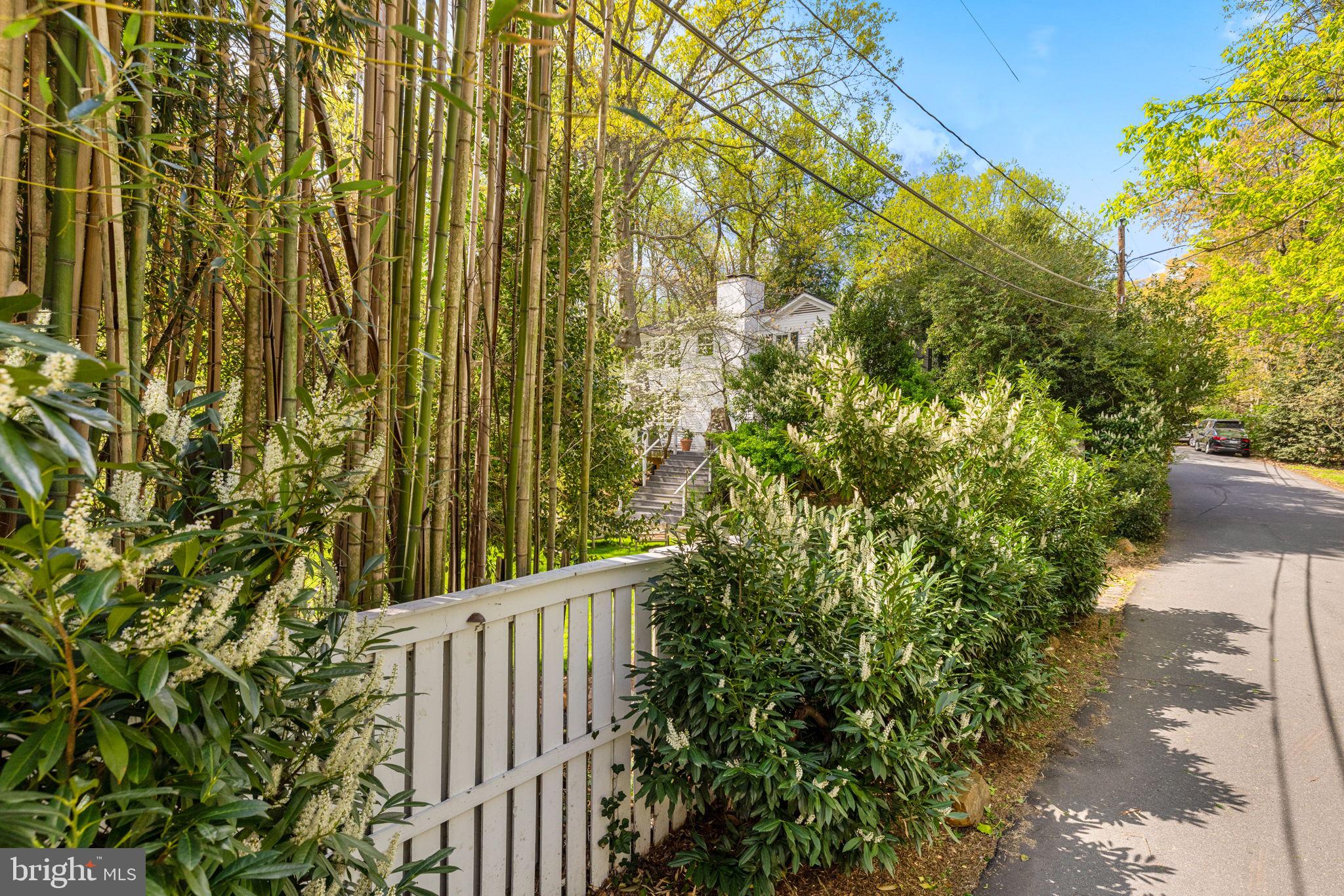 6139 Franklin Park Road McLean, VA 22101 - Photo 41 of 49 a view of a garden