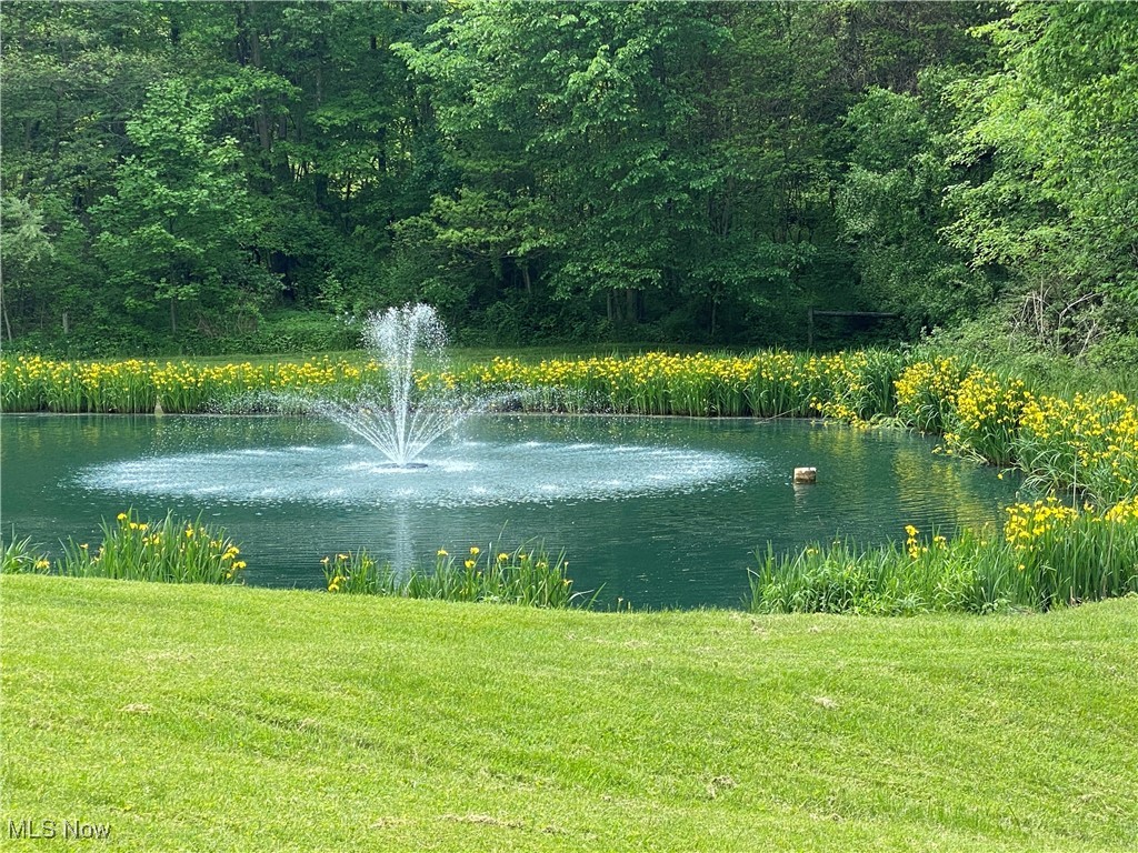 3421 Ridge Road Northwest Bolivar, OH 44612 - Photo 45 of 45 View of water feature