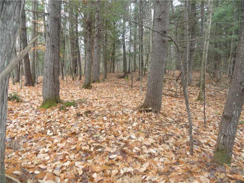 0 Old Deer Hill Road Stow, ME 04037 - Photo 9 of 12 Land.