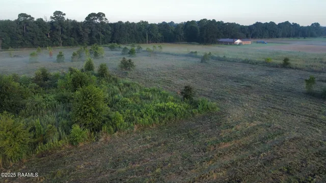 $38,500 | 1050 Jolene Road, Basile, LA 70515