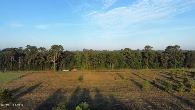 $38,500 | 1050 Jolene Road, Basile, LA 70515