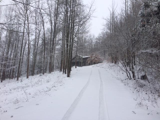 8765 Griffith Road Nashville, TN 37221 - Photo 2 of 27 Gorgeous winter wonderland!