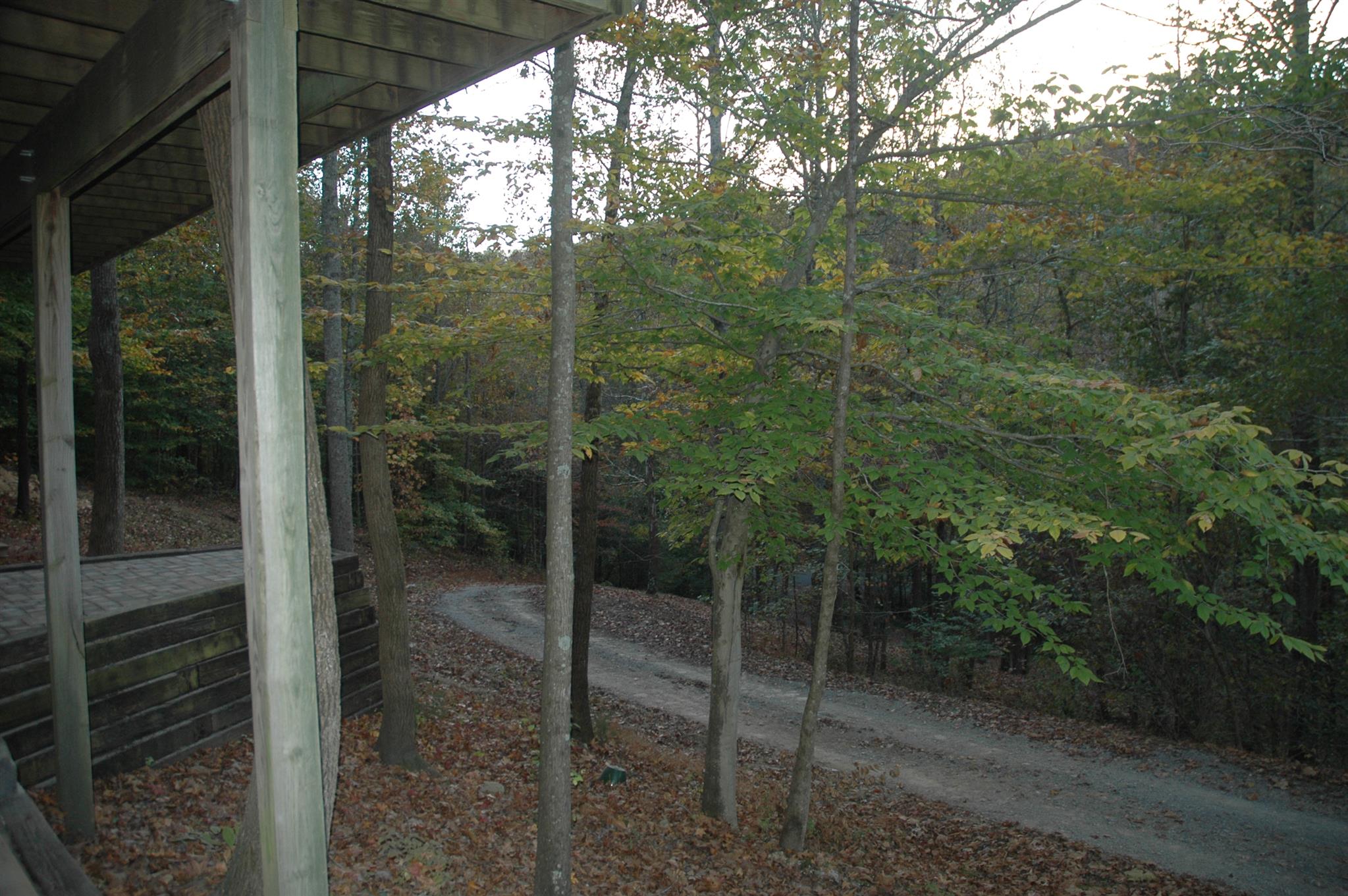 8765 Griffith Road Nashville, TN 37221 - Photo 12 of 27 treed view from below the deck