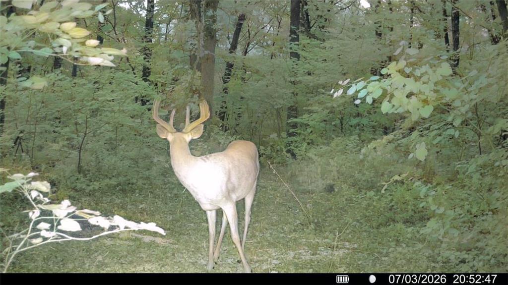 2163 East 500 Road Lecompton, KS 66050 - Photo 80 of 98