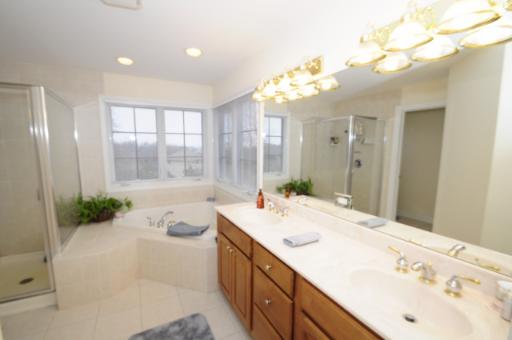 2706 Rondi Court Spring Grove, IL 60081 - Photo 11 of 14 a spacious bathroom with a tub sink and mirror