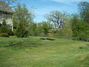 2706 Rondi Court Spring Grove, IL 60081 - Photo 3 of 14 a view of a grassy field with trees