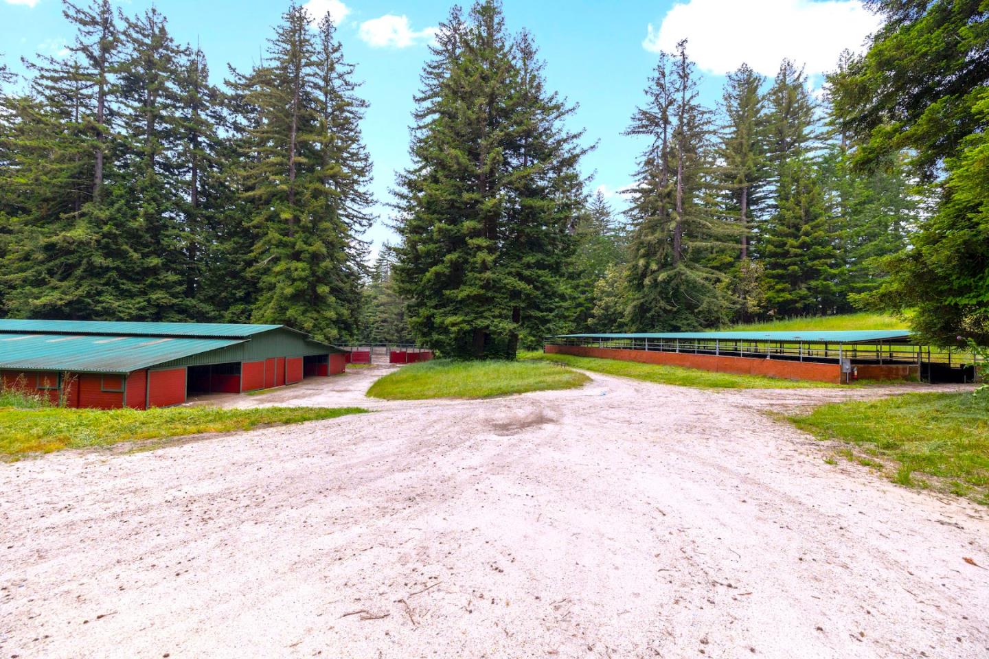 3675 Bonny Doon Road Santa Cruz, CA 95060 - Photo 14 of 59 a view of a swimming pool and a yard