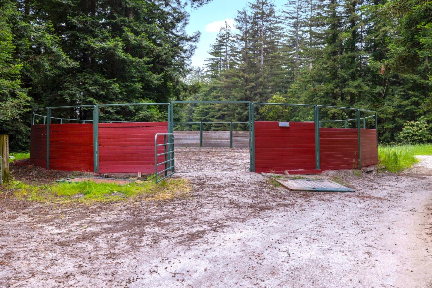3675 Bonny Doon Road Santa Cruz, CA 95060 - Photo 16 of 59 a backyard of a house with yard and trampoline