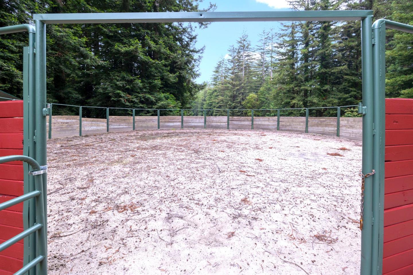 3675 Bonny Doon Road Santa Cruz, CA 95060 - Photo 17 of 59 a view of a yard with a small space