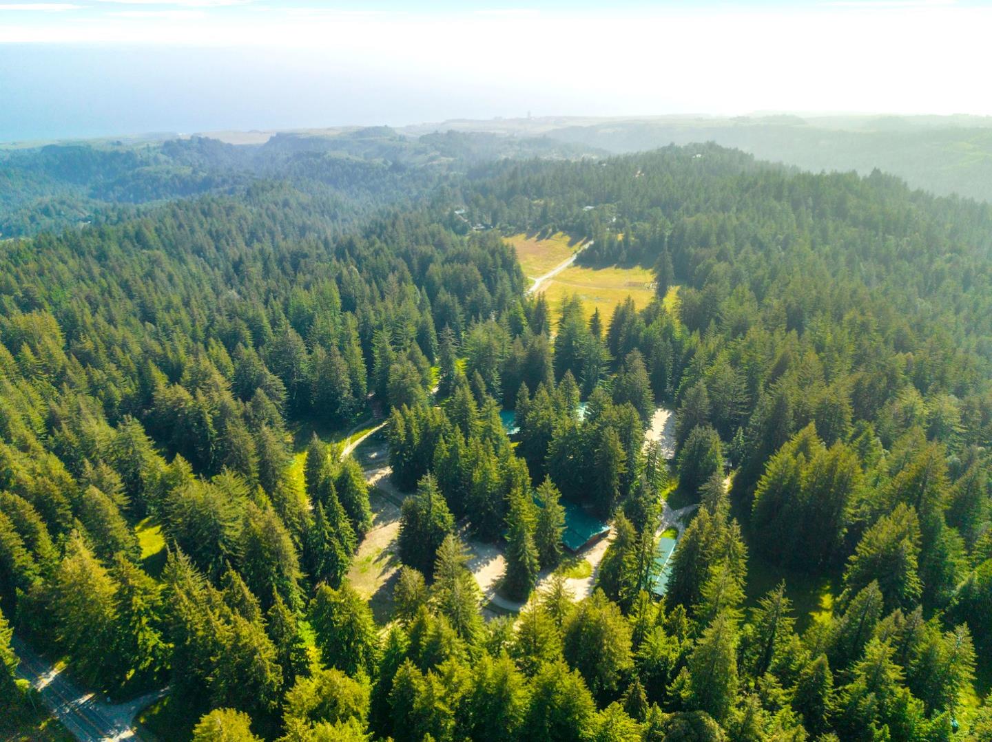 3675 Bonny Doon Road Santa Cruz, CA 95060 - Photo 2 of 59 a view of a lush green forest with houses
