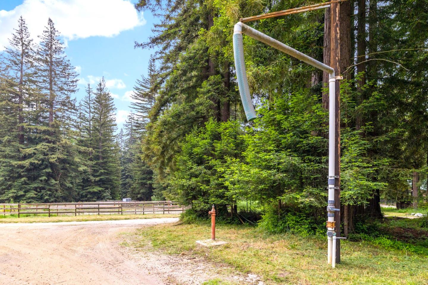3675 Bonny Doon Road Santa Cruz, CA 95060 - Photo 24 of 59 a view of a backyard with plants and lake view