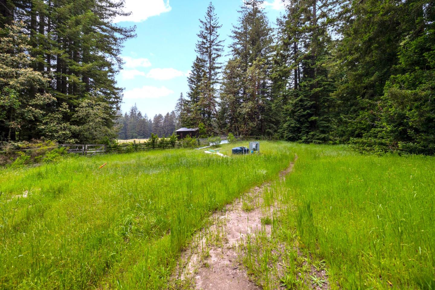 3675 Bonny Doon Road Santa Cruz, CA 95060 - Photo 28 of 59 a view of a lake with a large trees