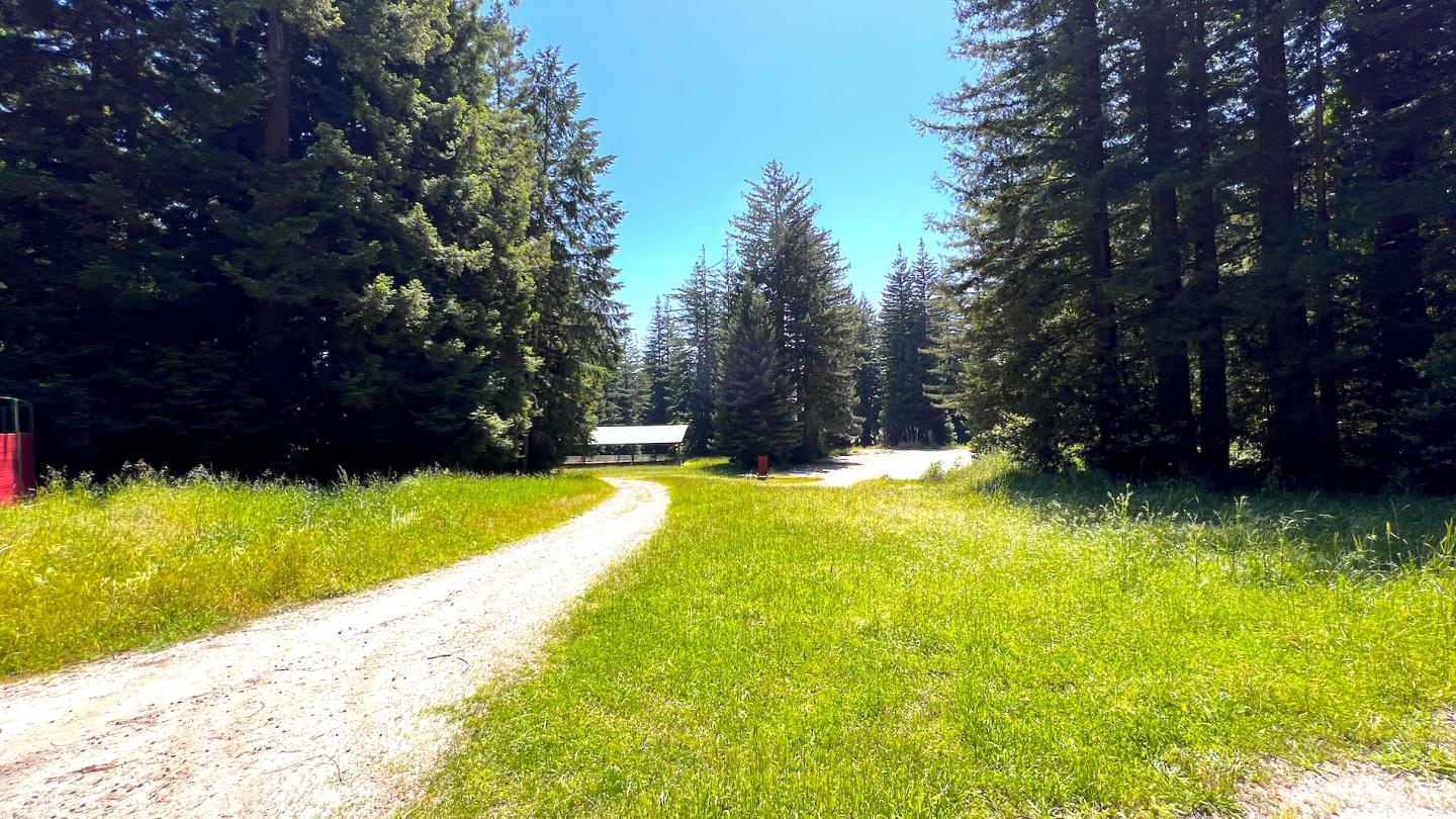 3675 Bonny Doon Road Santa Cruz, CA 95060 - Photo 30 of 59 a view of swimming pool with garden